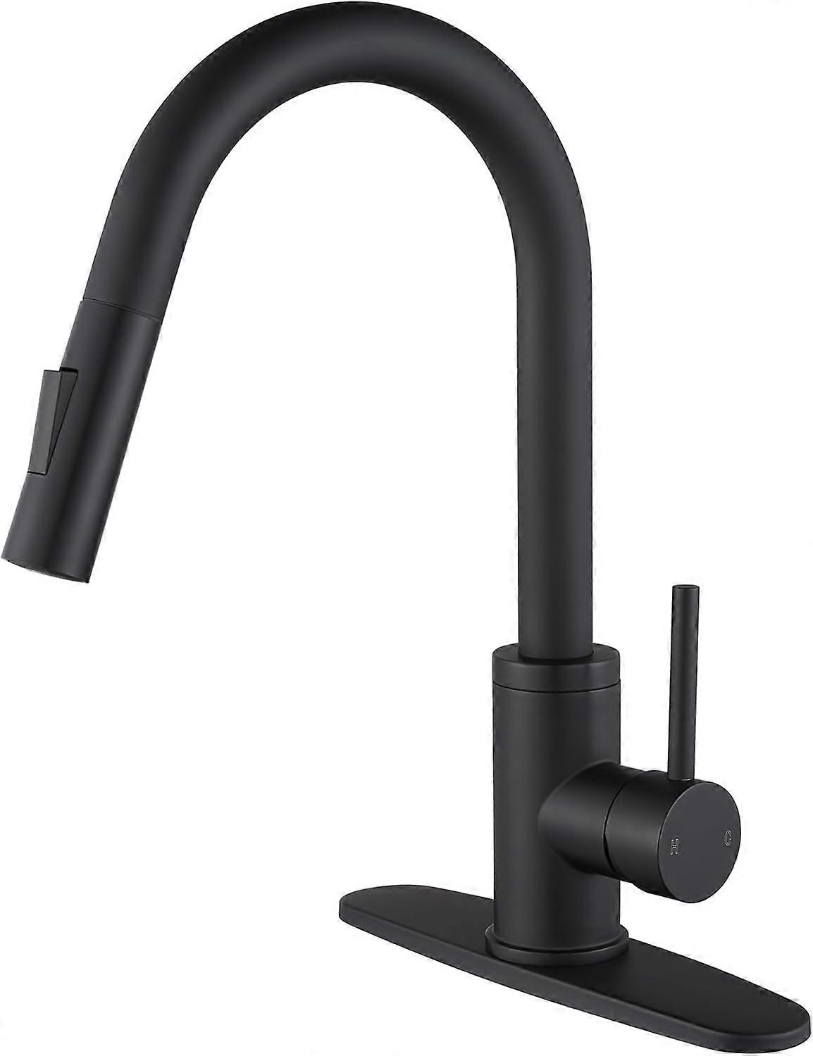 Kitchen Faucet, Pull Down Sprayer Design for Farmhouse and RV