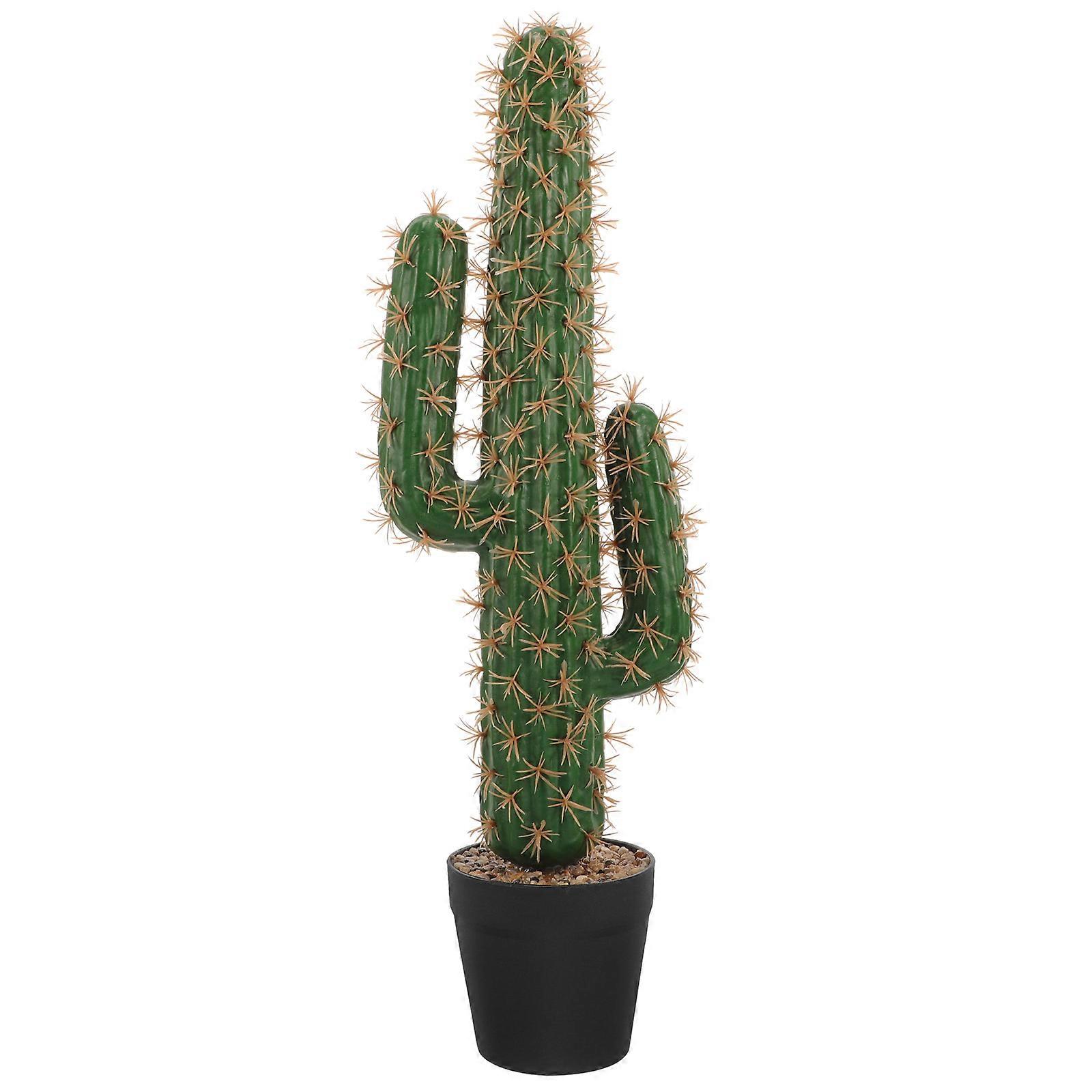 Realistic Simulation Cactus, Enhances Any Room with Lifelike Details