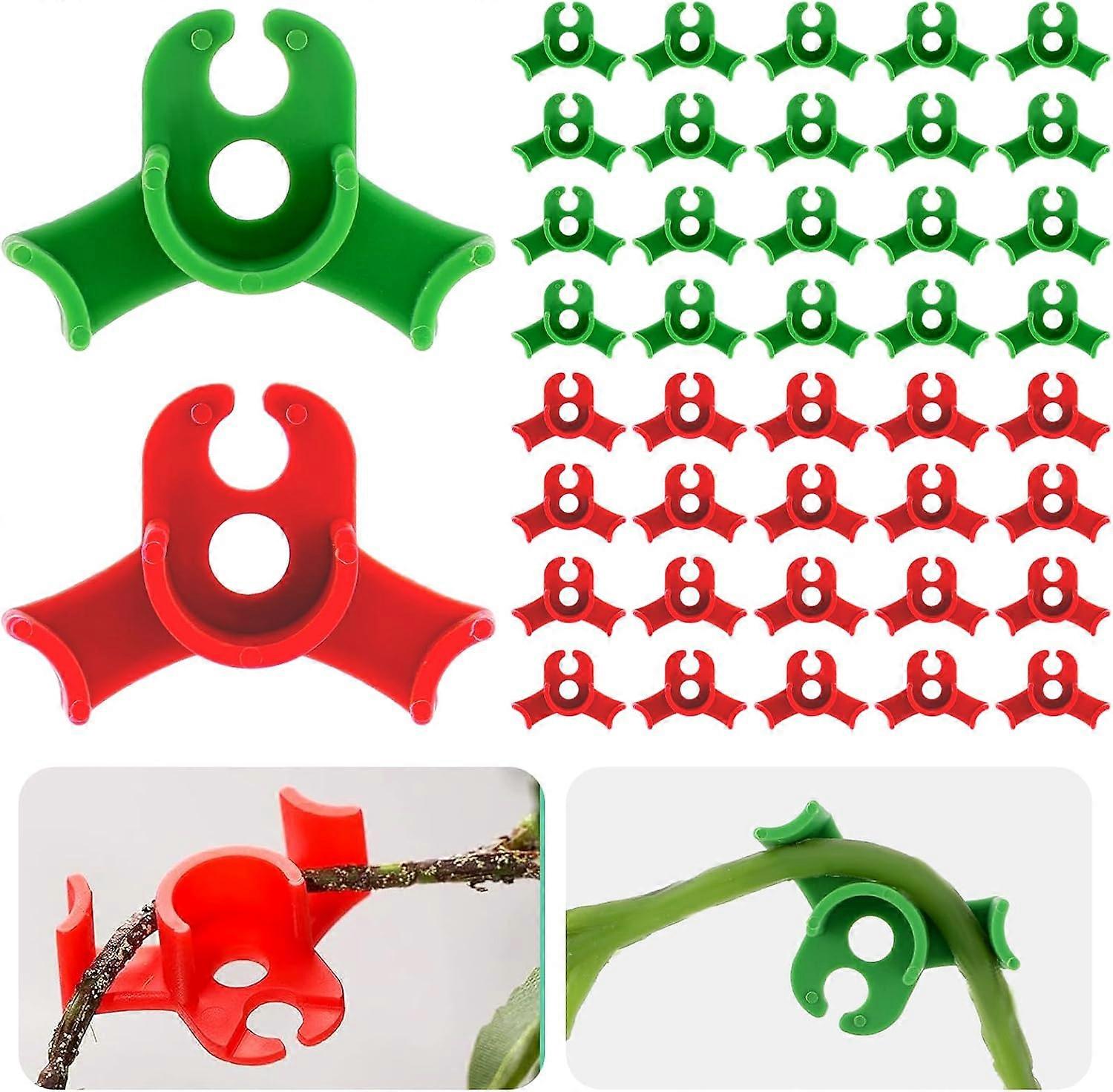Paquet de 40 clips de palissage pour un support de tige à faible stress, angle de 90 degrés (rouge et vert)
