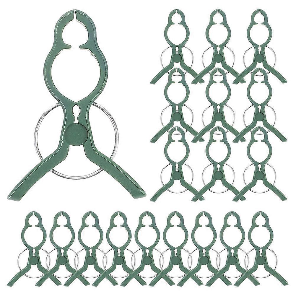 It seems like you're referring to a product listing for **reusable plant clips**—specifically, **30pcs Reusable Plant Clips for Climbing Plants**,