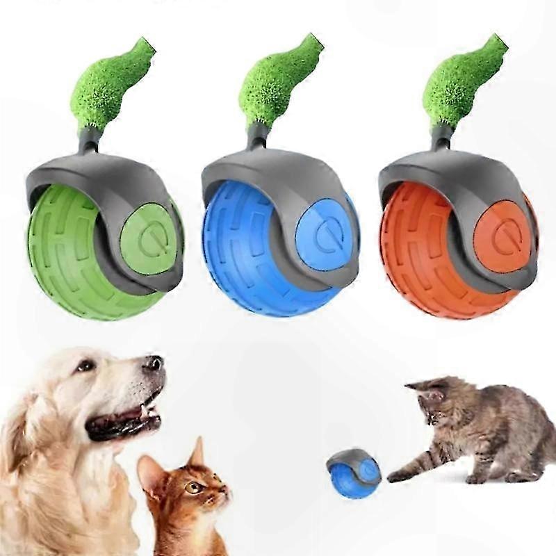 Interactive Cat Toy with Moving Tail for Feline Play and Exercise Speedy Tail 2.0 Model