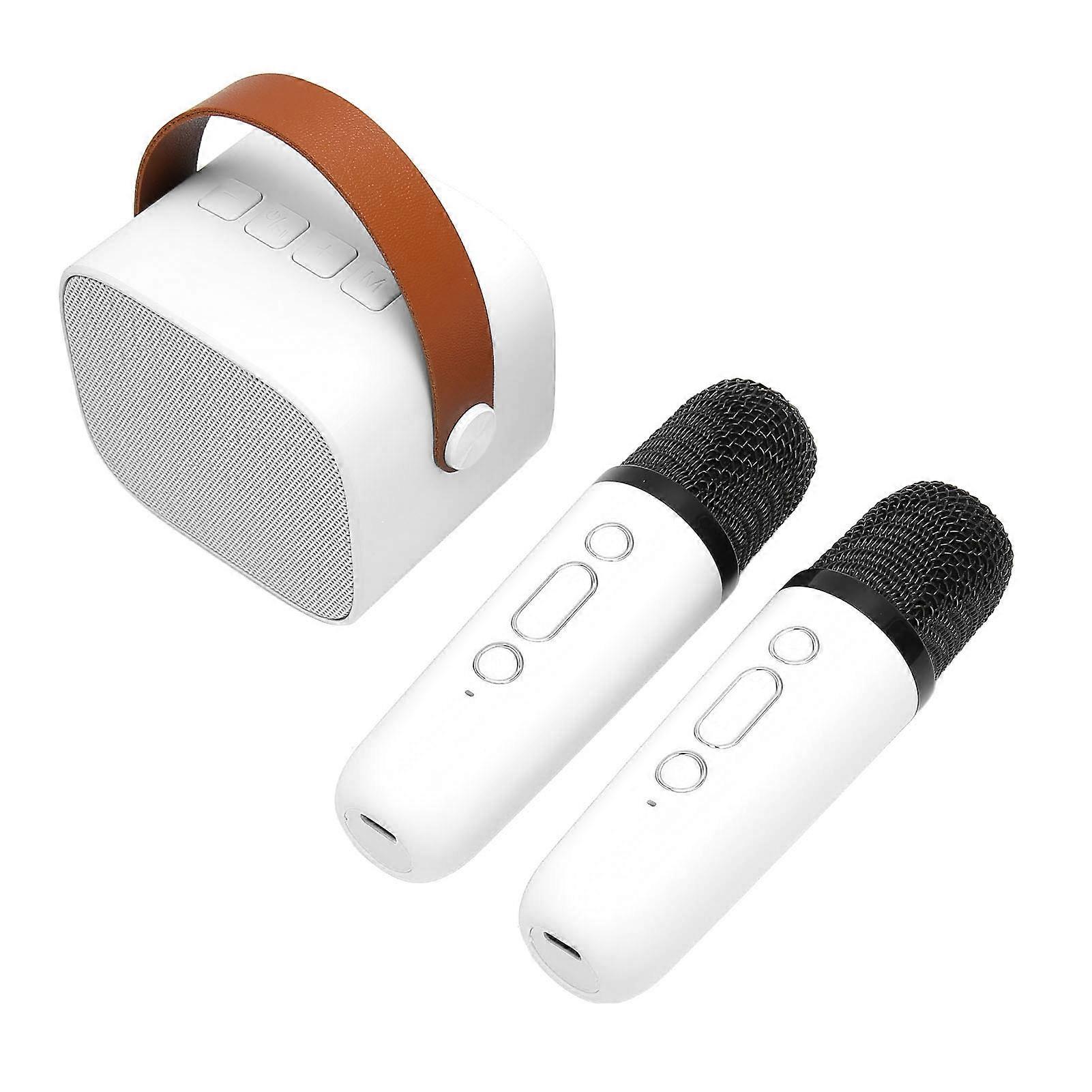Karaoke Machine Multifunction Stereo Sound Portable Bluetooth Speaker with 2 Wireless Microphones for Home Party KTV White 