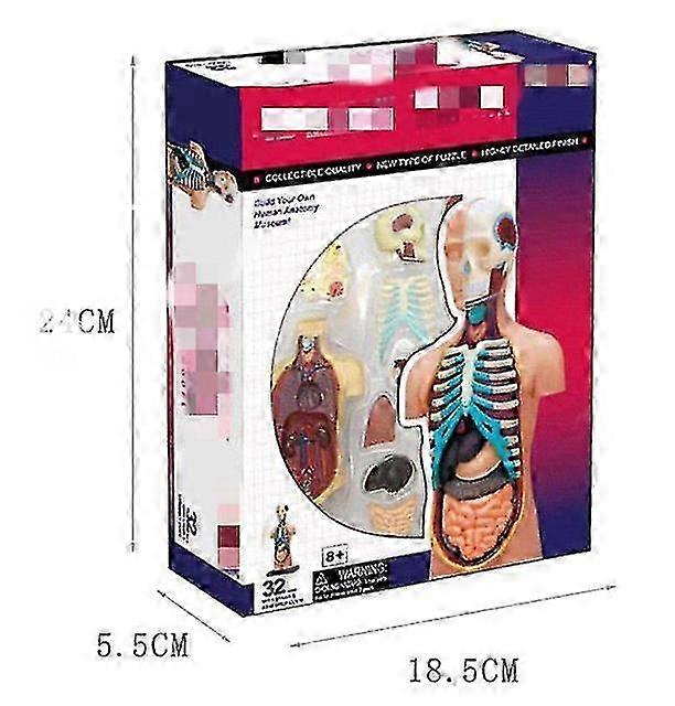 Anatomical Model Creature Toy Puzzle