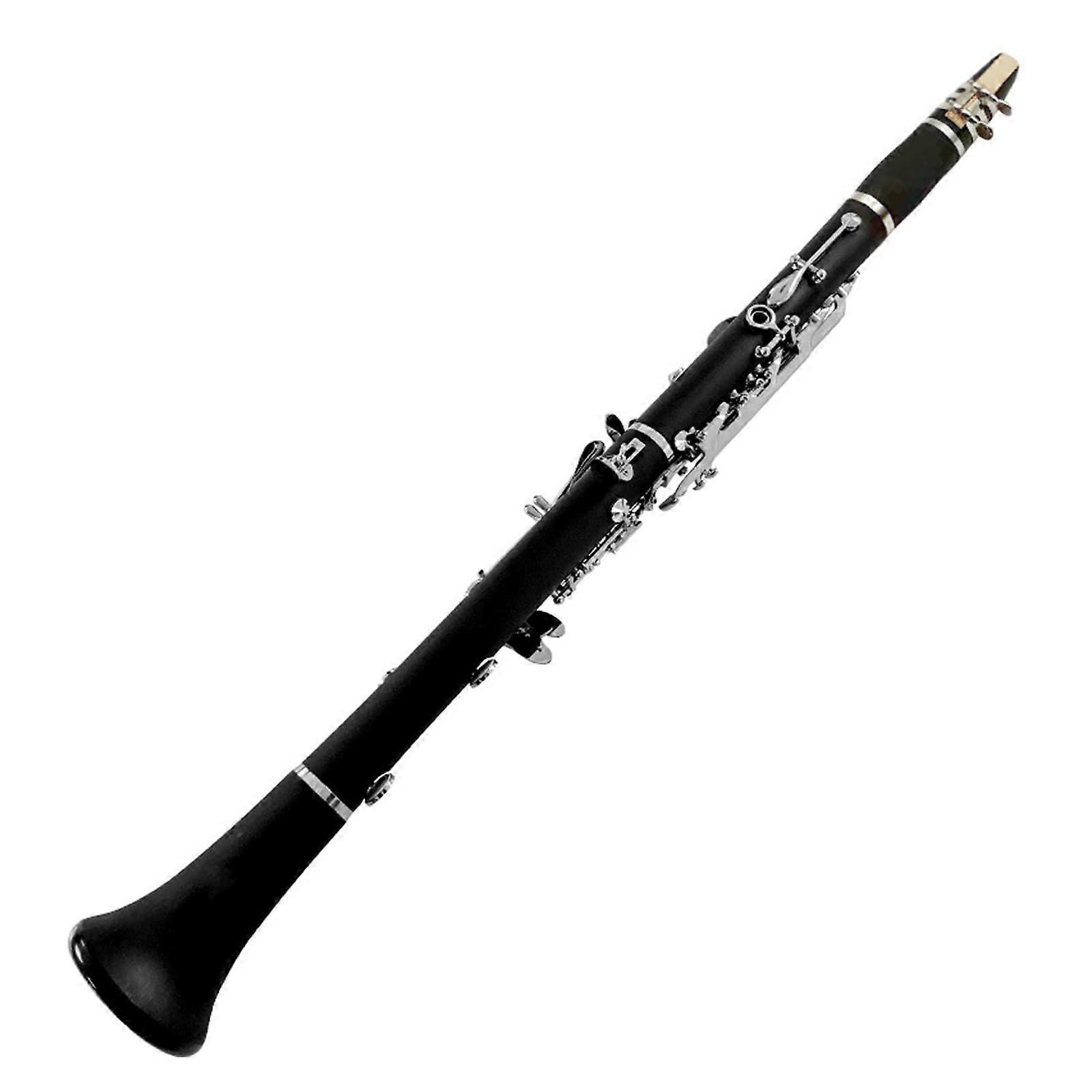 17 Key B Flat Beginner Clarinet for Students Practice and Performance, Clear Resonant Sound