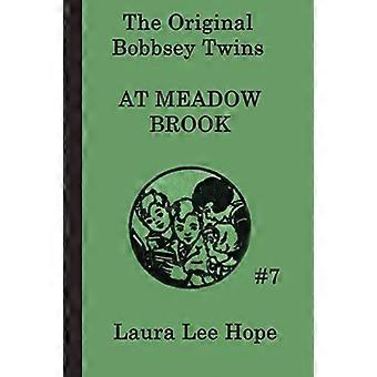 Bobbsey Twins på Meadow Brook