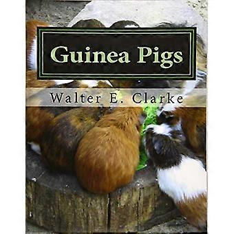 Cavia's: een praktische verhandeling over hun fokkerij, voeding en beheer van cavia's