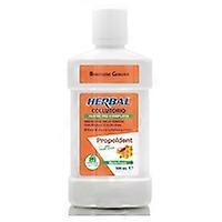 Propoldent mouthwash 500 ml