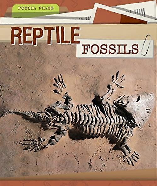 Reptilienfossilien