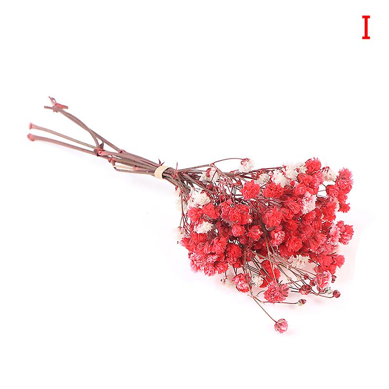 חיננית כוכב פרח זר צמחים טבעיים עבור Diy הבית Decoraitve פרח מיובש