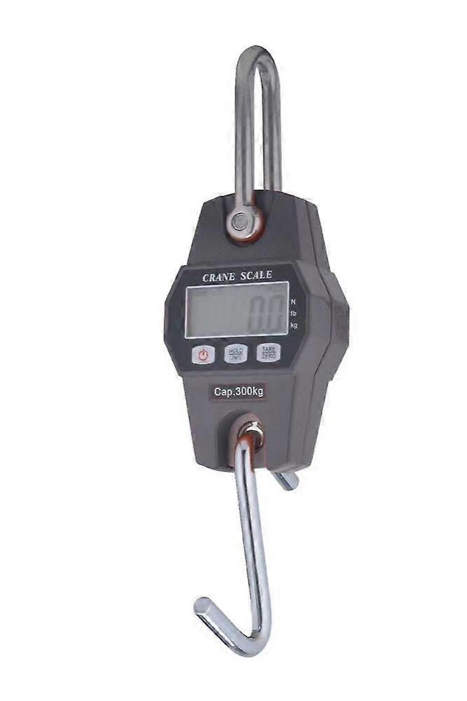 Industrial LCD hook dynamometer, weight 300kg, gray, 19*17.5*5.5cm