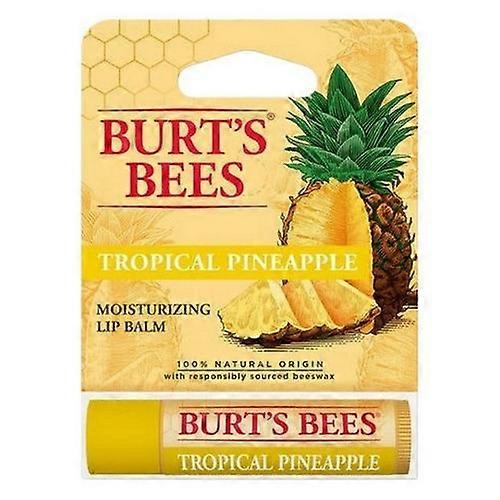 Burts Bees 热带菠萝润唇膏泡罩盒,0.15 盎司