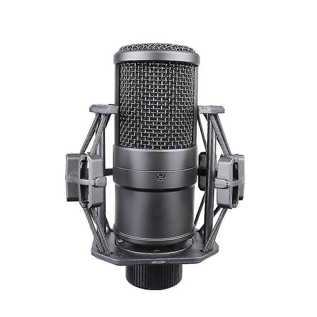 Vocal Microphone Live Streaming Game Props Vocal Recording Applications