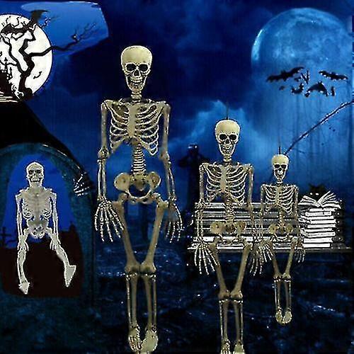 Halloween Human Skeleton Oversized Poseable Full Life Size