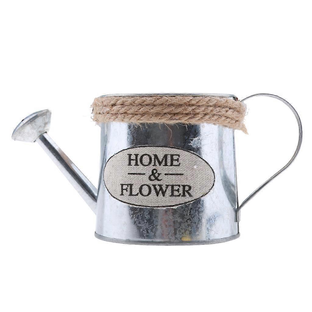 Small Metal Buckets Flower Planters Home Decorative Vases With Rope Handles - ,