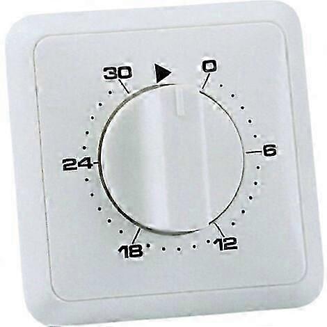 Analogue flush-mounted timer with daily program of 30 min
