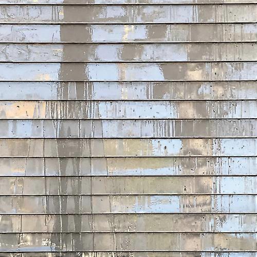 Fred Thomas - Aftering  [COMPACT DISCS] USA import