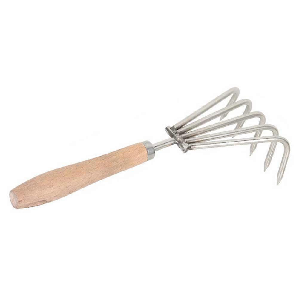 Palam Muschel Rake Shellfish Clamming Tool with 5-Teeth Design for Gardening and Crab Digging, Style 2