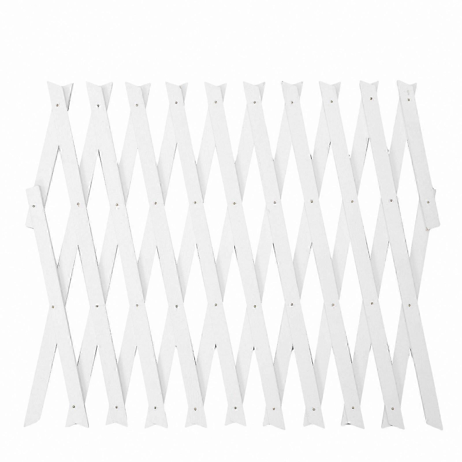 Expandable Plant Support Trellis for Vertical and Horizontal Use with Climbing Plants