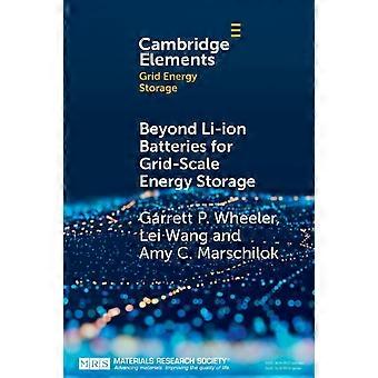 Além das baterias de íon-lítio para armazenamento de energia em escala de rede - Garrett P. Wheeler
