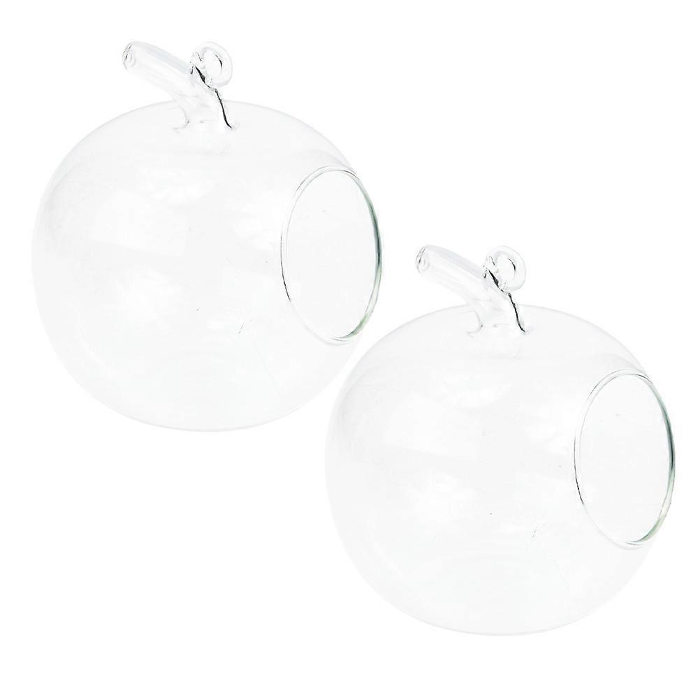 Creative Hydroponic Bottle Transparent Apple Shaped Glass Vase 2Pcs