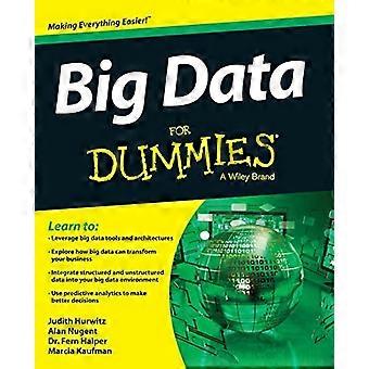 Big Data för Dummies