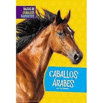 Caballos Arabes (Razas de Caballos Favoritos)