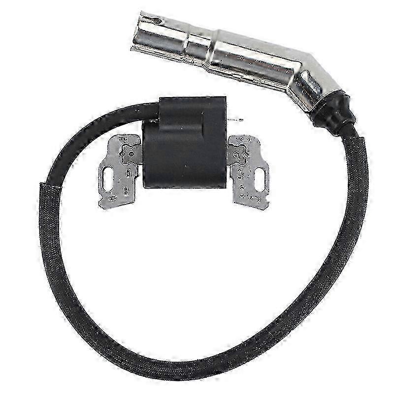 Black High Voltage Ignition Coil