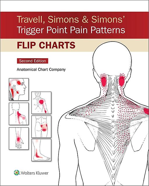 Travell Simons Amp Simons Trigger Point Pain Patterns Flip Charts by Anatomical Chart Company Spiral bound Book