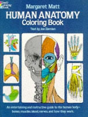 Human Anatomy by Joe Ziemian Paperback