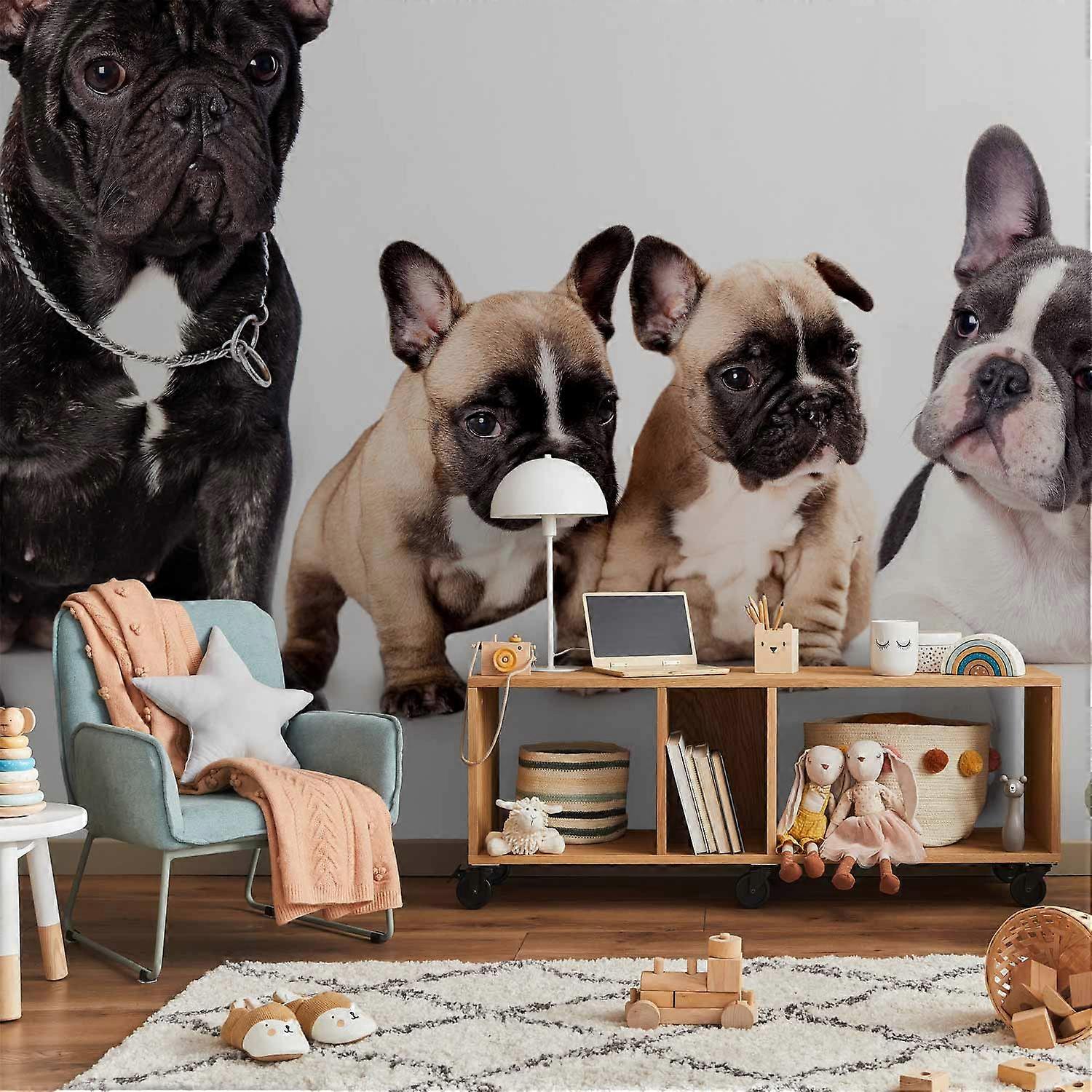 Fototapet - Franske hunde