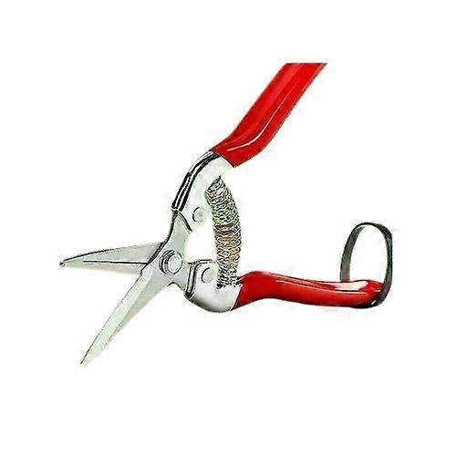 Professionelle Micro Tip Pruning Snip