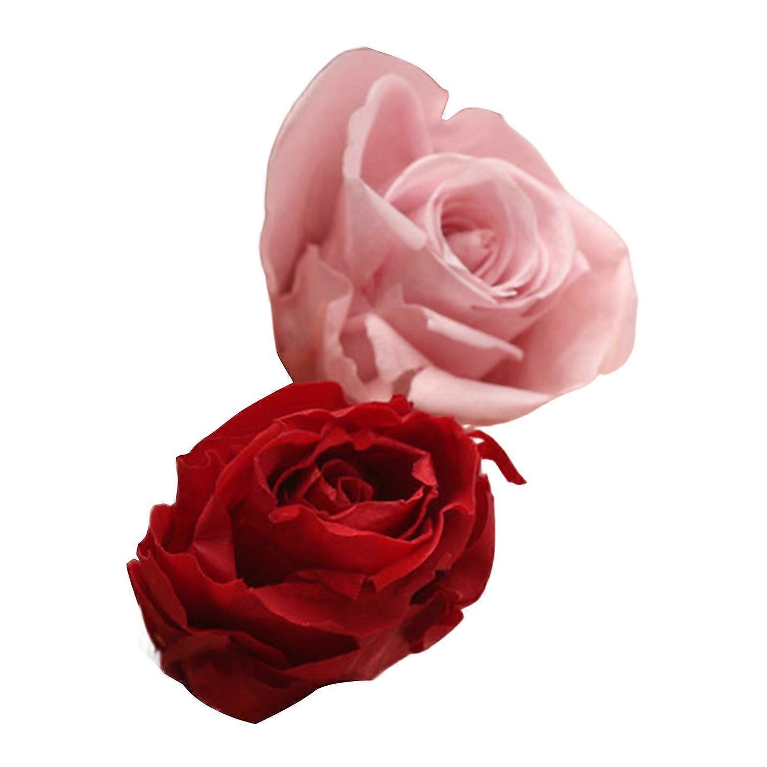 Kit de fleurs séchées Véritables fleurs naturelles en vrac Fleur séchée bricolage Fleurs éternelles Matériel pour