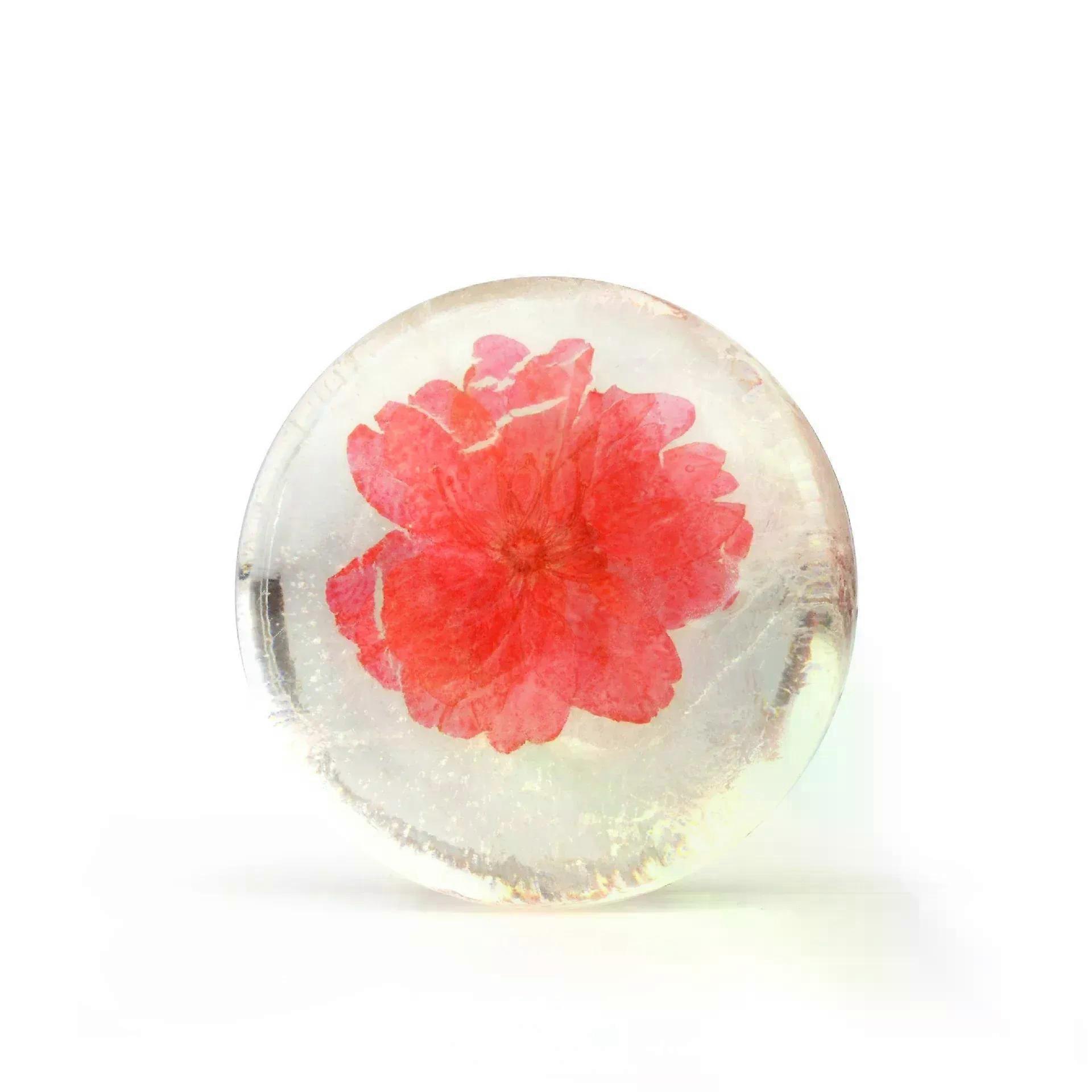 Gaibosi 100g fleur fraîche acide aminé savon fait à la main savon fleur transparente vraie fleur en elle barre de savon créative faite à la main