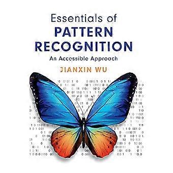 Essentials of Pattern Recognition An Accessible Approach
