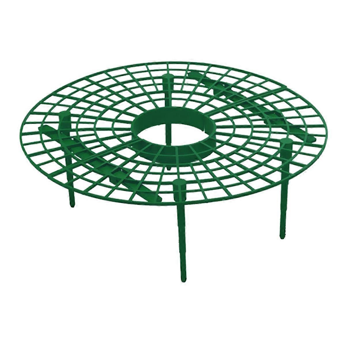 Elevated Plant Climbing Rack Reusable Strawberry Support