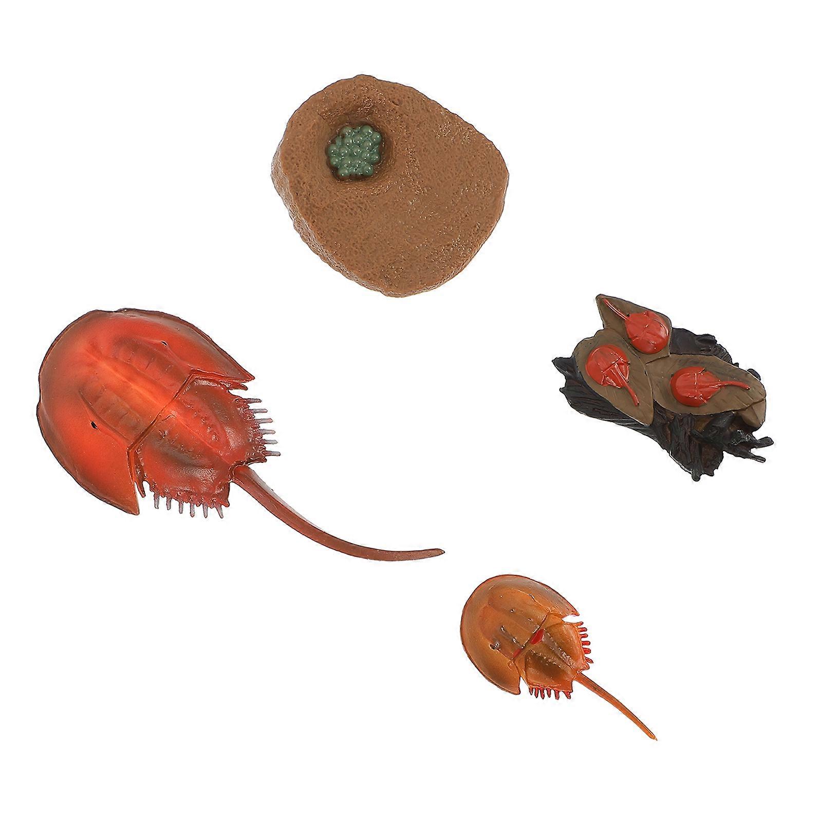 1 Set Organism Simulation Life Cycle Models Educational Animal Figures for Early Learning Desktop Decoration