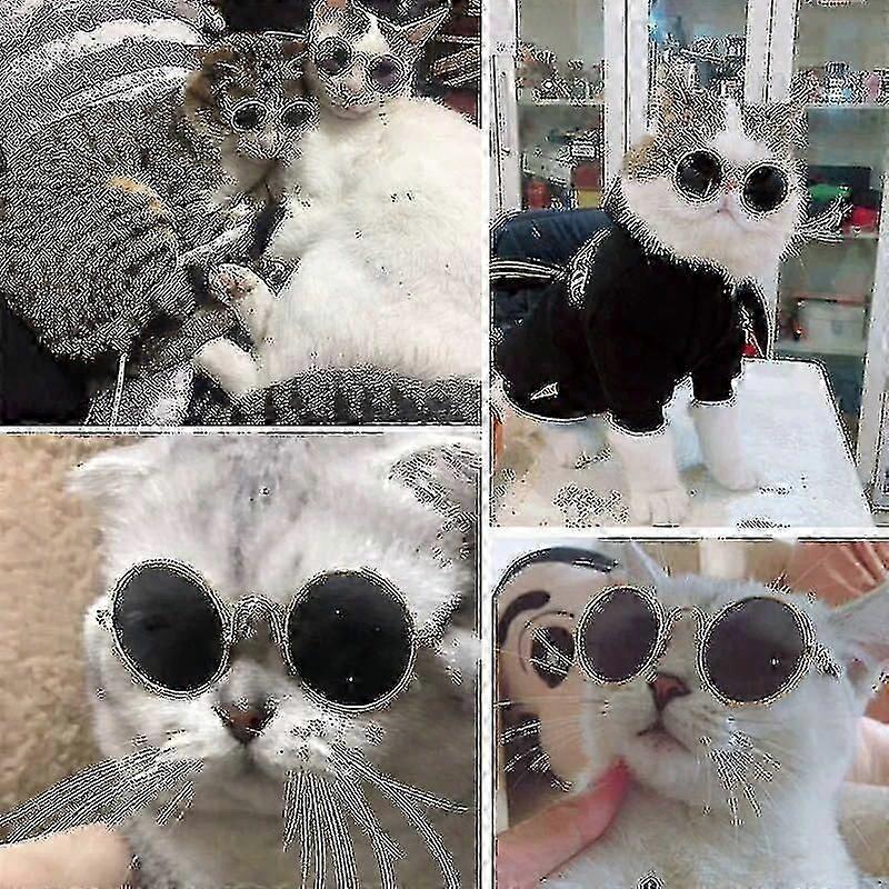 Pet Glasses Sunglasses Cat Sunglasses