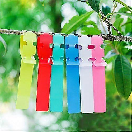 Mixed color plastic label collar for gardening tools, can be hung and can write B (200 pieces)