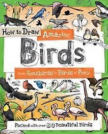 Como Desenhar Pássaros Incríveis - Android Verde
