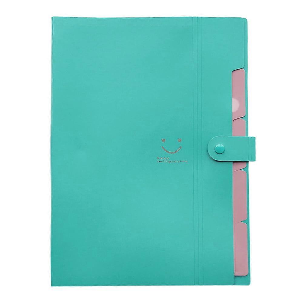 PP 5 Pockets A4 File Organizer, Blue