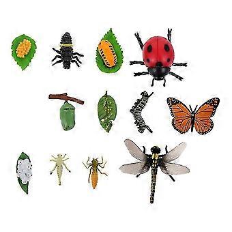 3 Sets Wachstumszyklus-Figuren von Marienkäfern, Schmetterlingen und Libellen für Kinder
