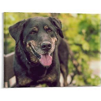 Dog Smile Happy Male Breed Jigsaw Puzzle Jigsaw Puzzles Pictures Rustic Artwork foration VV590
