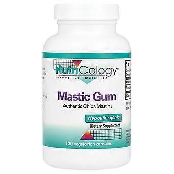 Nutricology, Mastic Gum, 120 Vegetarian Capsules (0.5 g per Capsule)