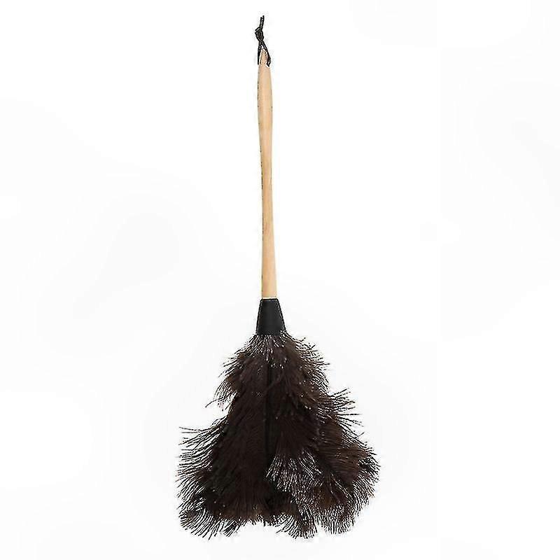 Single Dust Sweeper for Easy Cleaning
