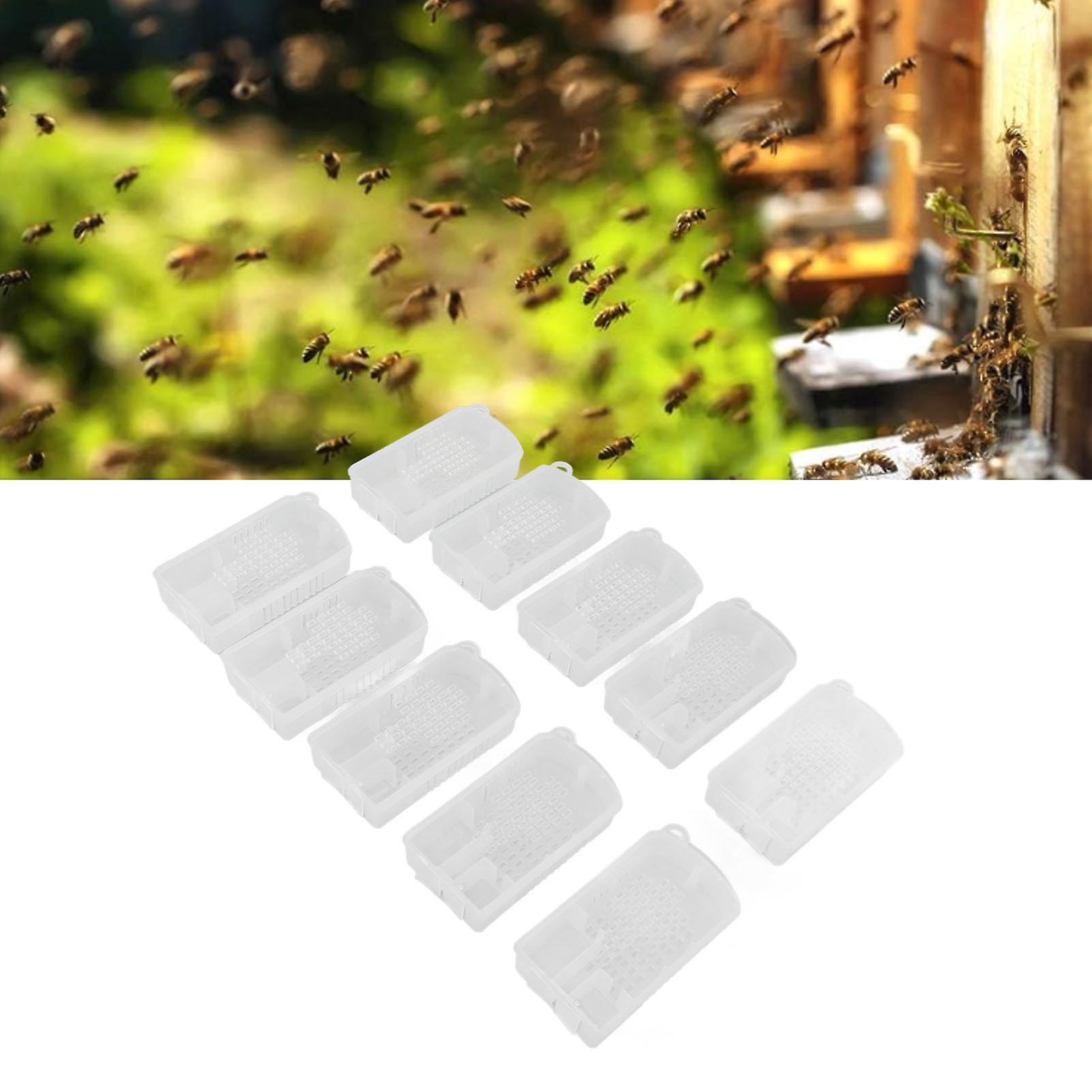 10 Pcs Multifunctional Plastic Beekeeping Cages 8.5x5x2cm Set
