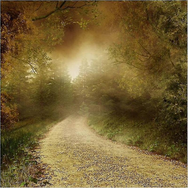 Full Circle 5d DIY Timanttimaalaus Country Road Landscape Timanttikirjonta Ristipisto Strassi Kodinsisustus