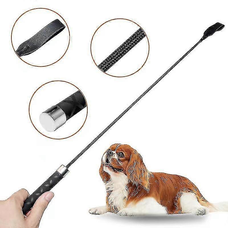Pet Training Stick pro psy a kočky