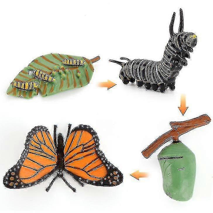Miniature Simulation Insect Growth Cycle Science And Education Cognitive Model Children's Learning Toys 4pcs PK
