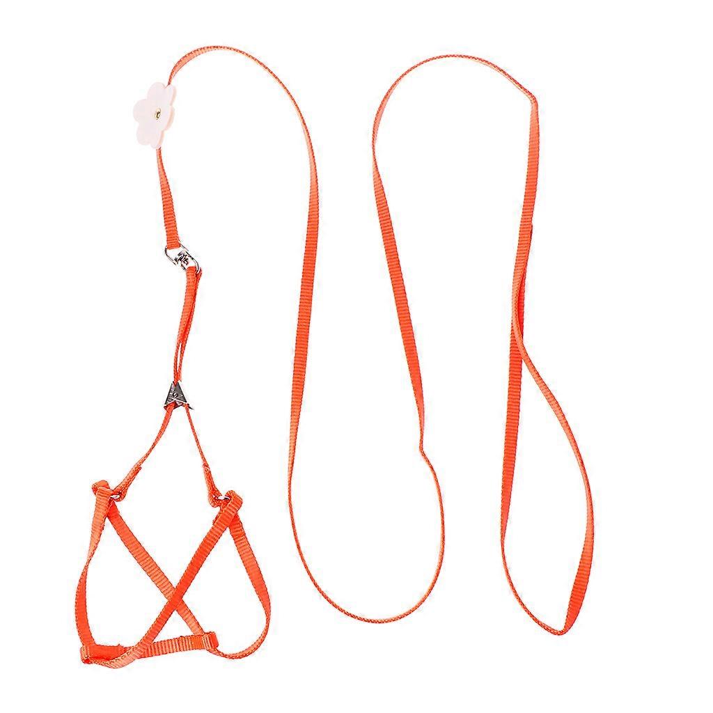 Adjustable Parrot Harness Leash Bunny Harness Leash Rabbit Vest Harness