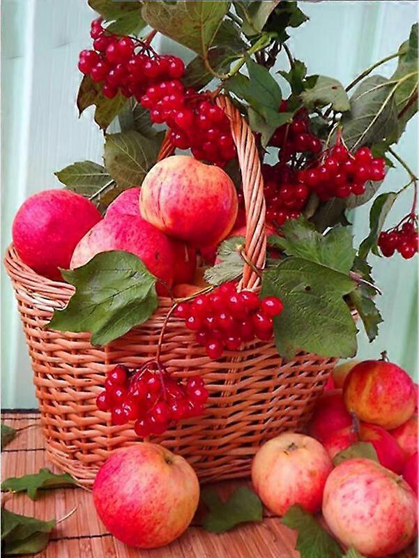 DWW-30 x 40 cm, Apples and Cherries Diamond Painting Embroidery Diamond Painting5D Canvas Painting for Children and Adults, Rhinestone Puzzle Set, Dra